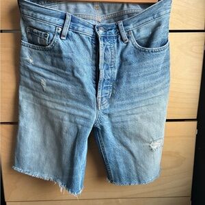 Everlane Light Blue Distressed Jean Shorts